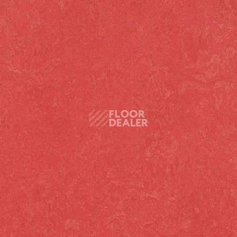 Линолеум Forbo Marmoleum Marbled Fresco 3263-326335 rose фото 1 | FLOORDEALER